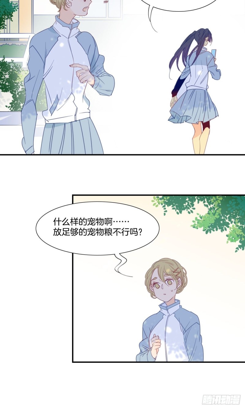 《家养美人》二十三话 第5页