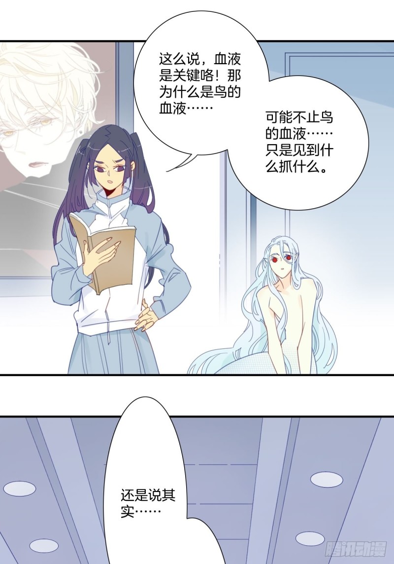 《家养美人》二十四话 第10页
