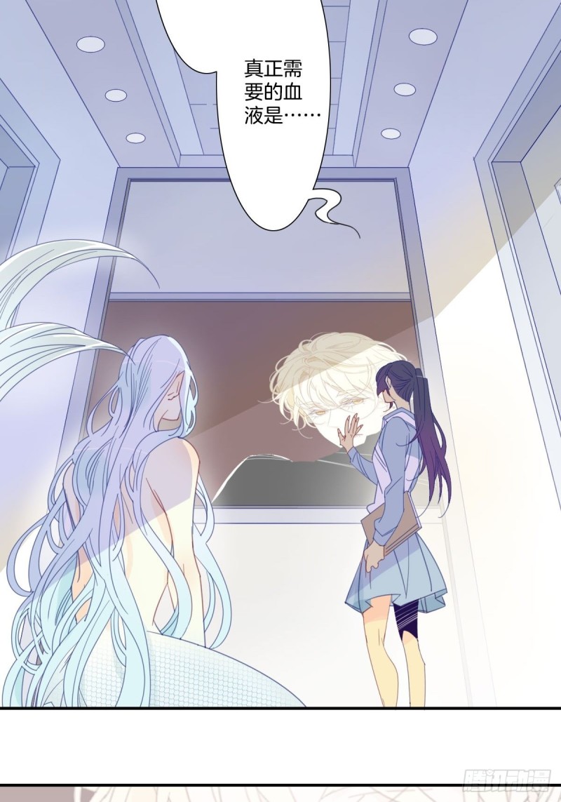 《家养美人》二十四话 第11页