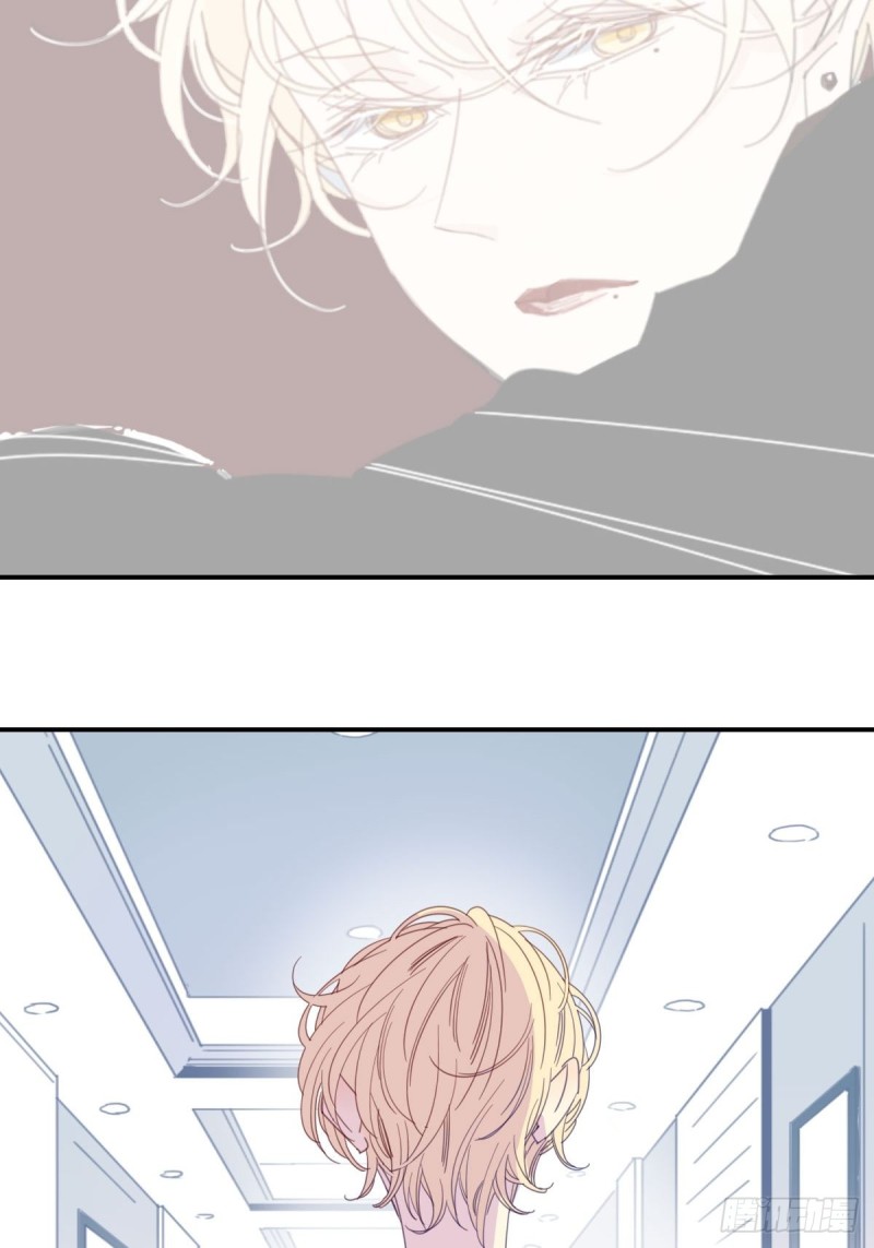 《家养美人》二十四话 第12页