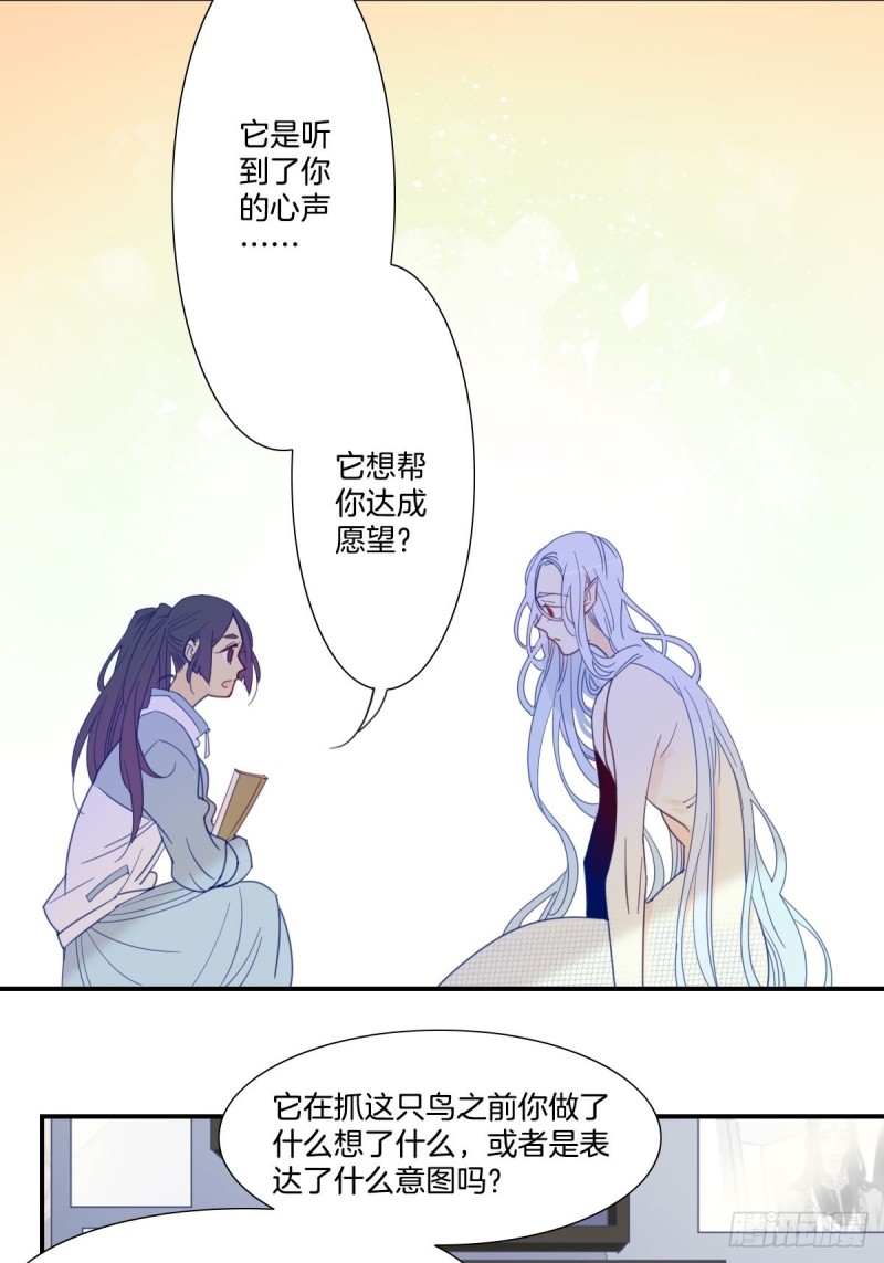 《家养美人》二十四话 第4页