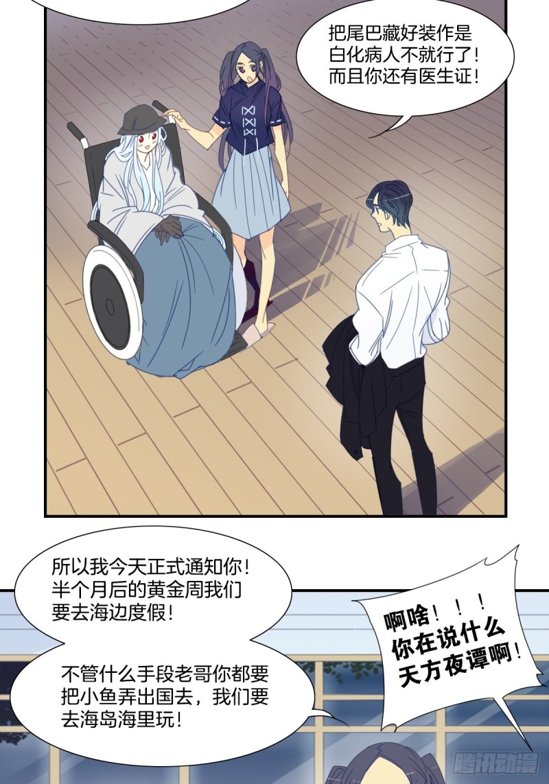 《家养美人》二十五话 第4页