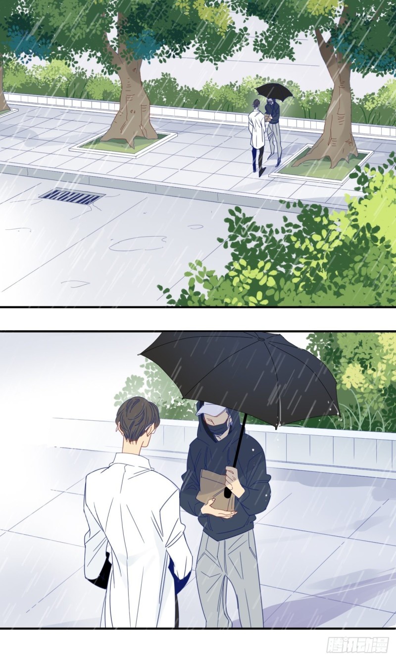 《家养美人》二十七话 第13页