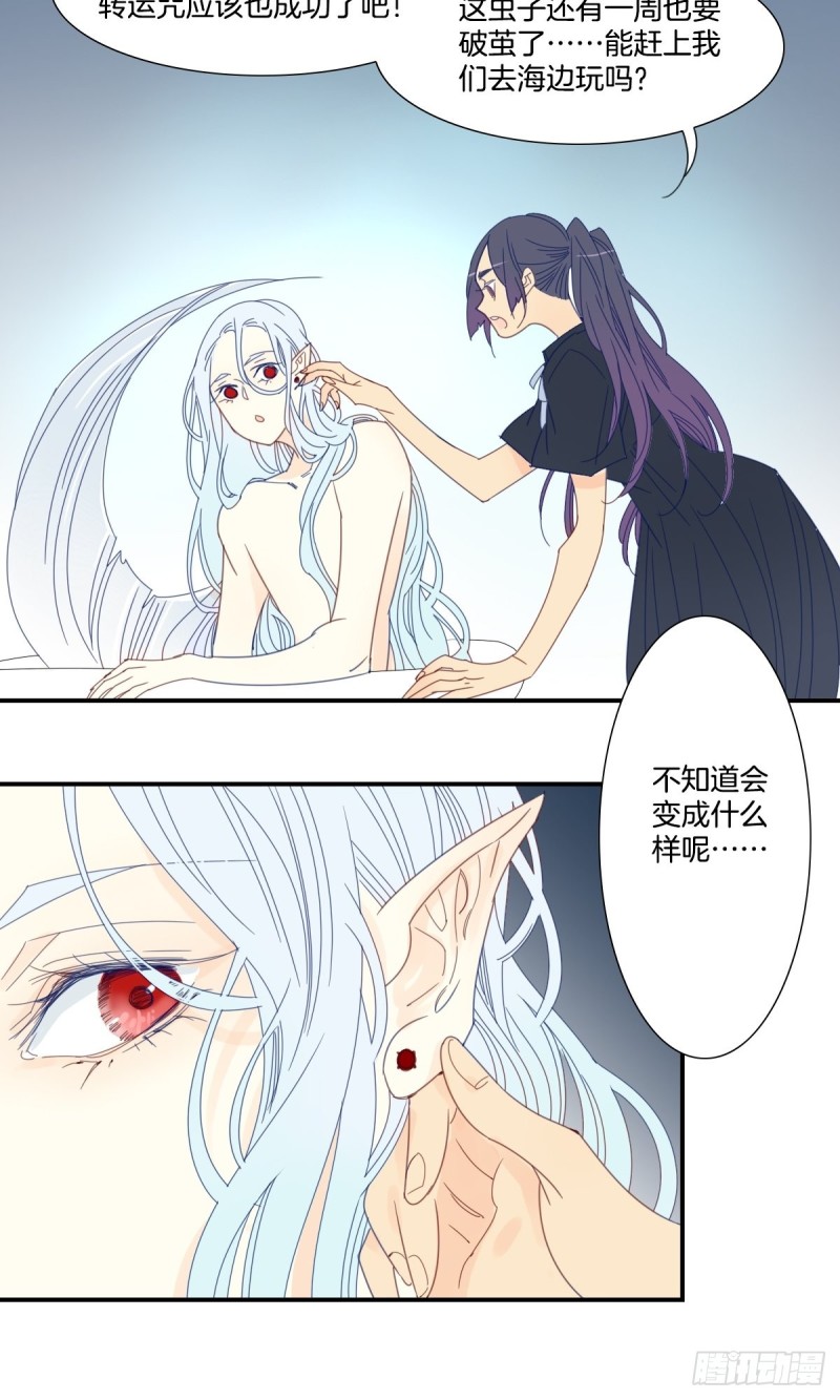 《家养美人》二十七话 第9页