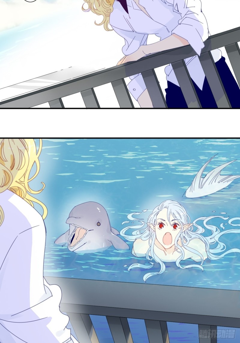 《家养美人》三十一话 第18页