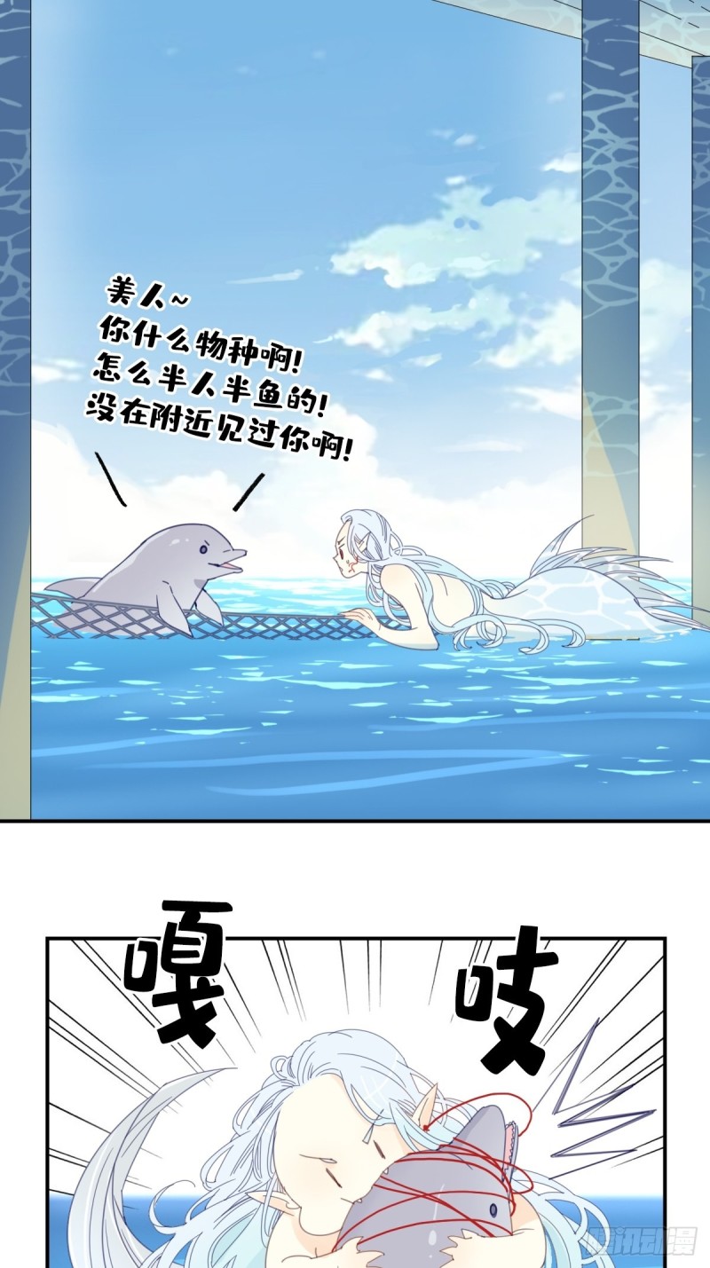 《家养美人》三十一话 第3页