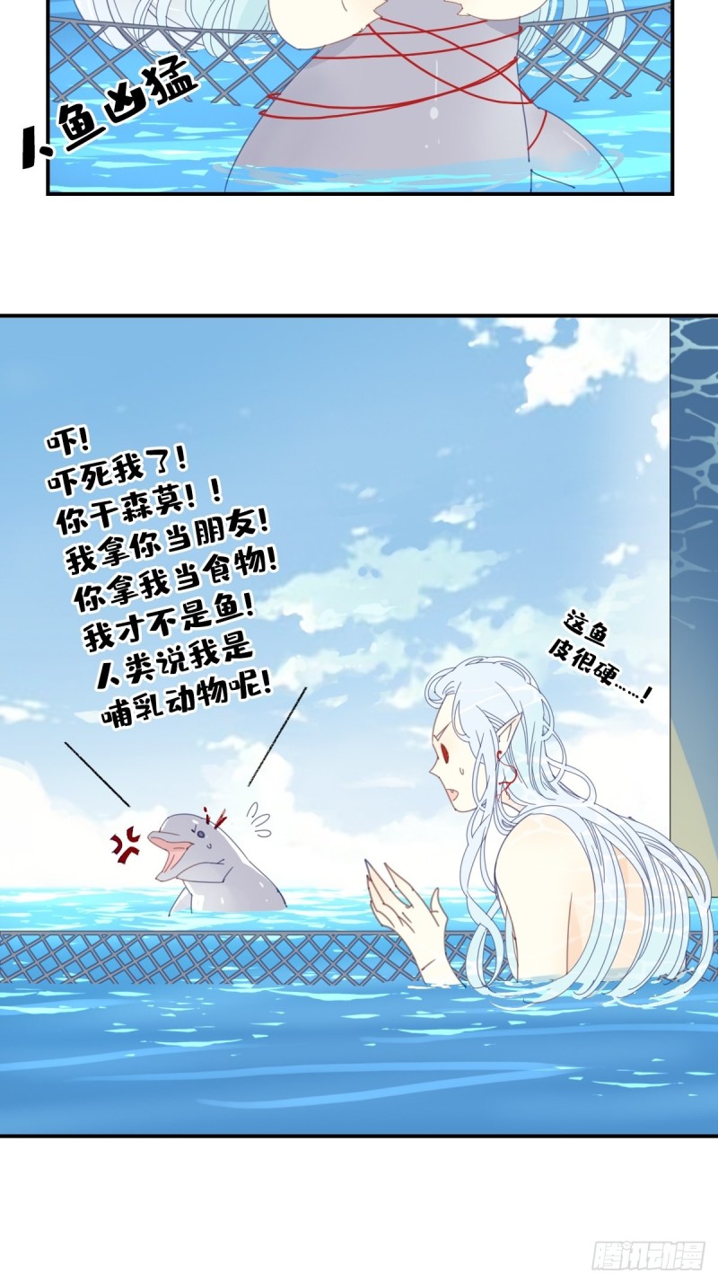 《家养美人》三十一话 第4页