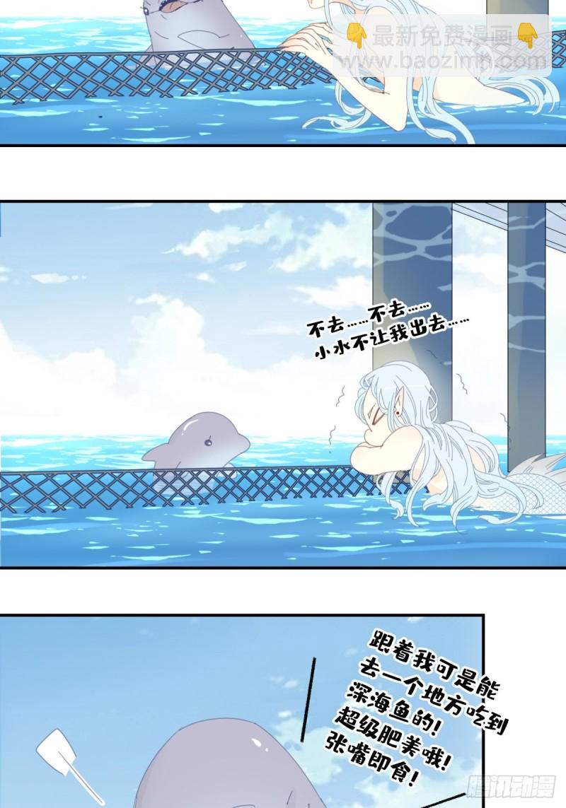 《家养美人》三十一话 第6页