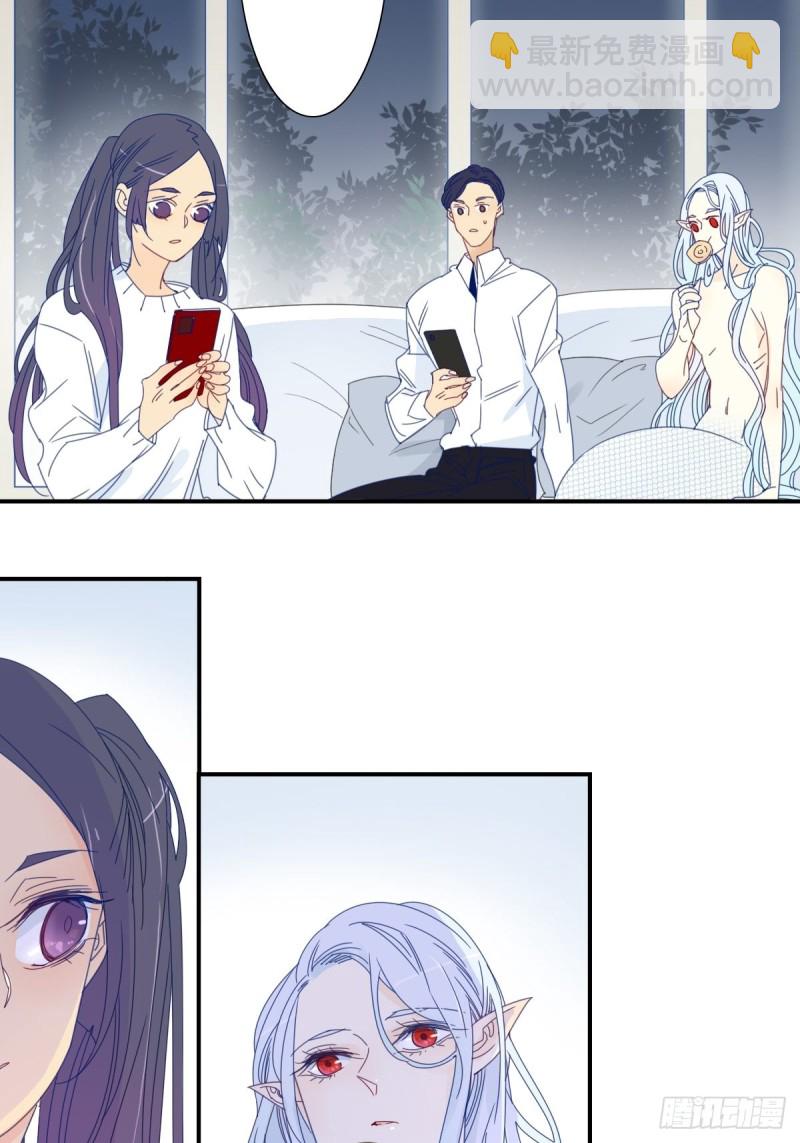 《家养美人》二十九话 第12页