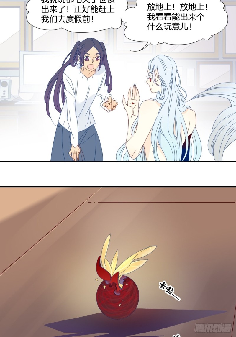 《家养美人》二十九话 第15页