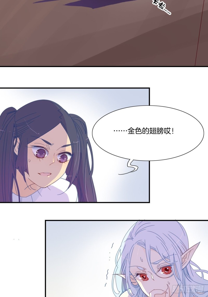 《家养美人》二十九话 第16页
