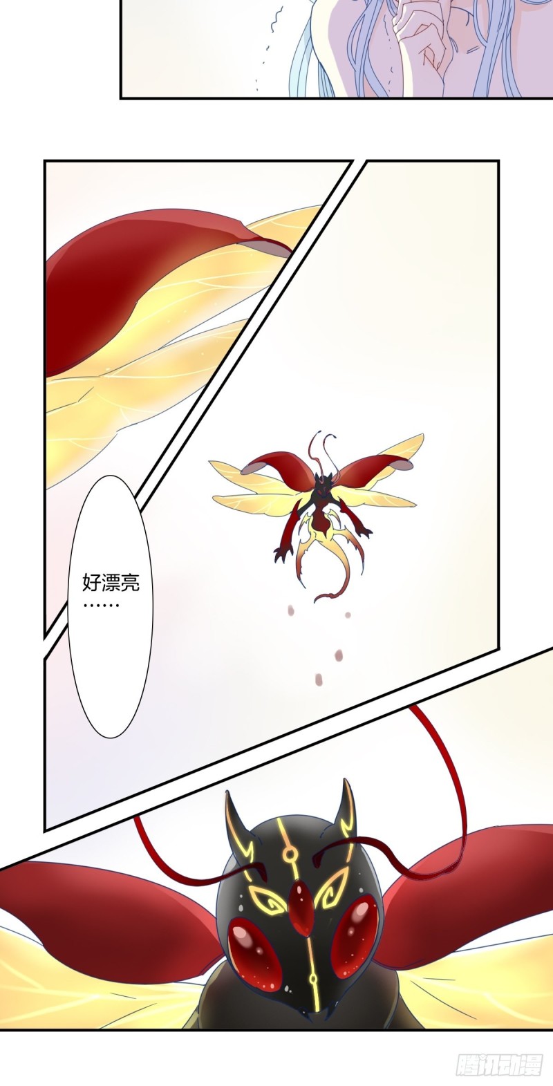 《家养美人》二十九话 第17页