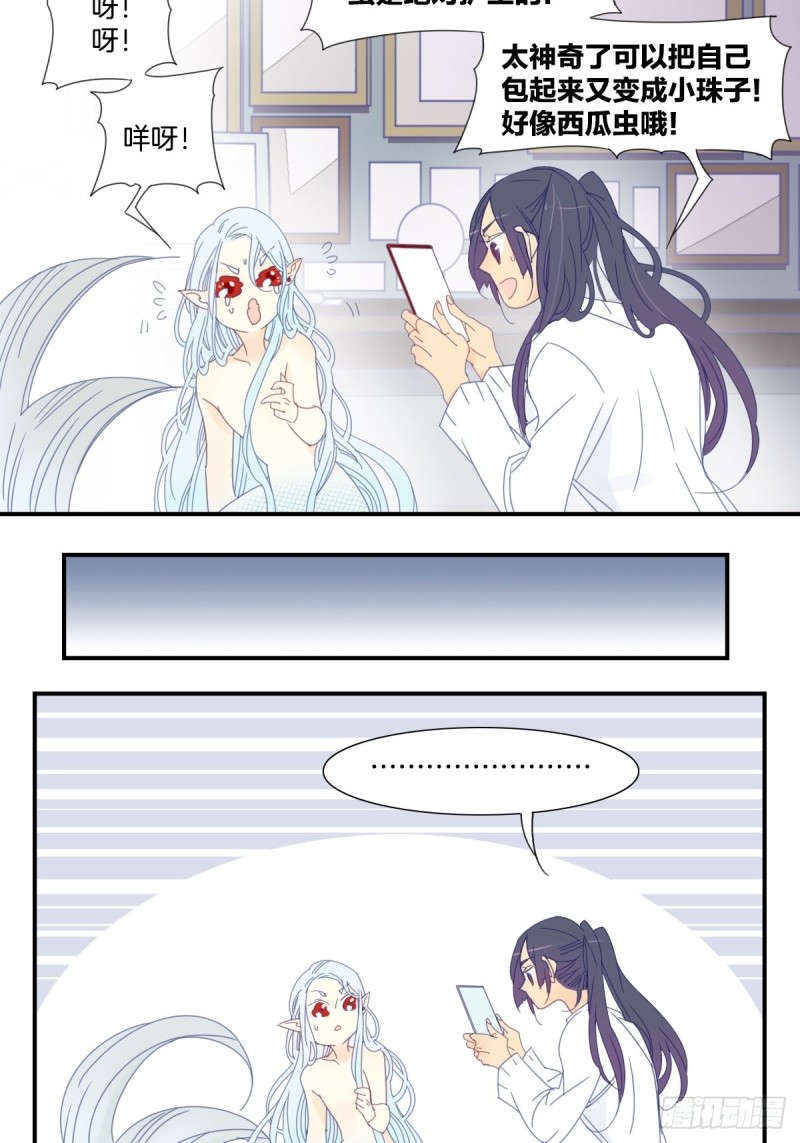 《家养美人》二十九话 第19页