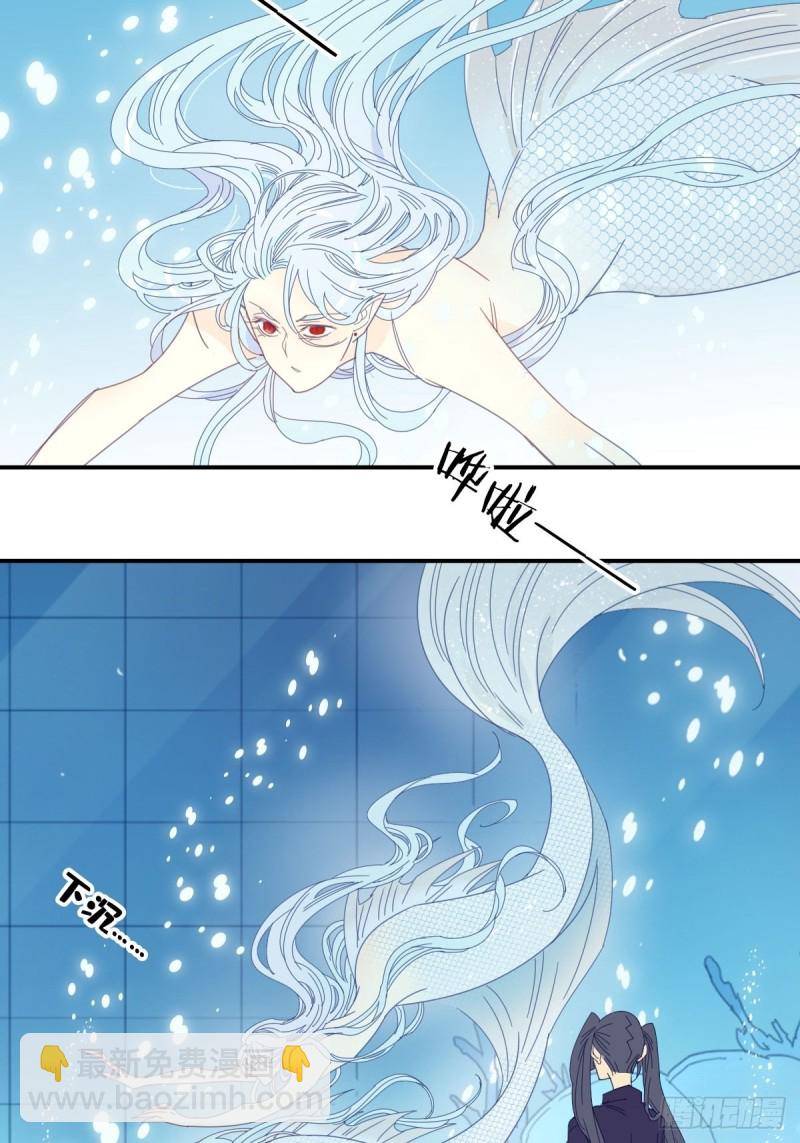 《家养美人》二十八话 第19页