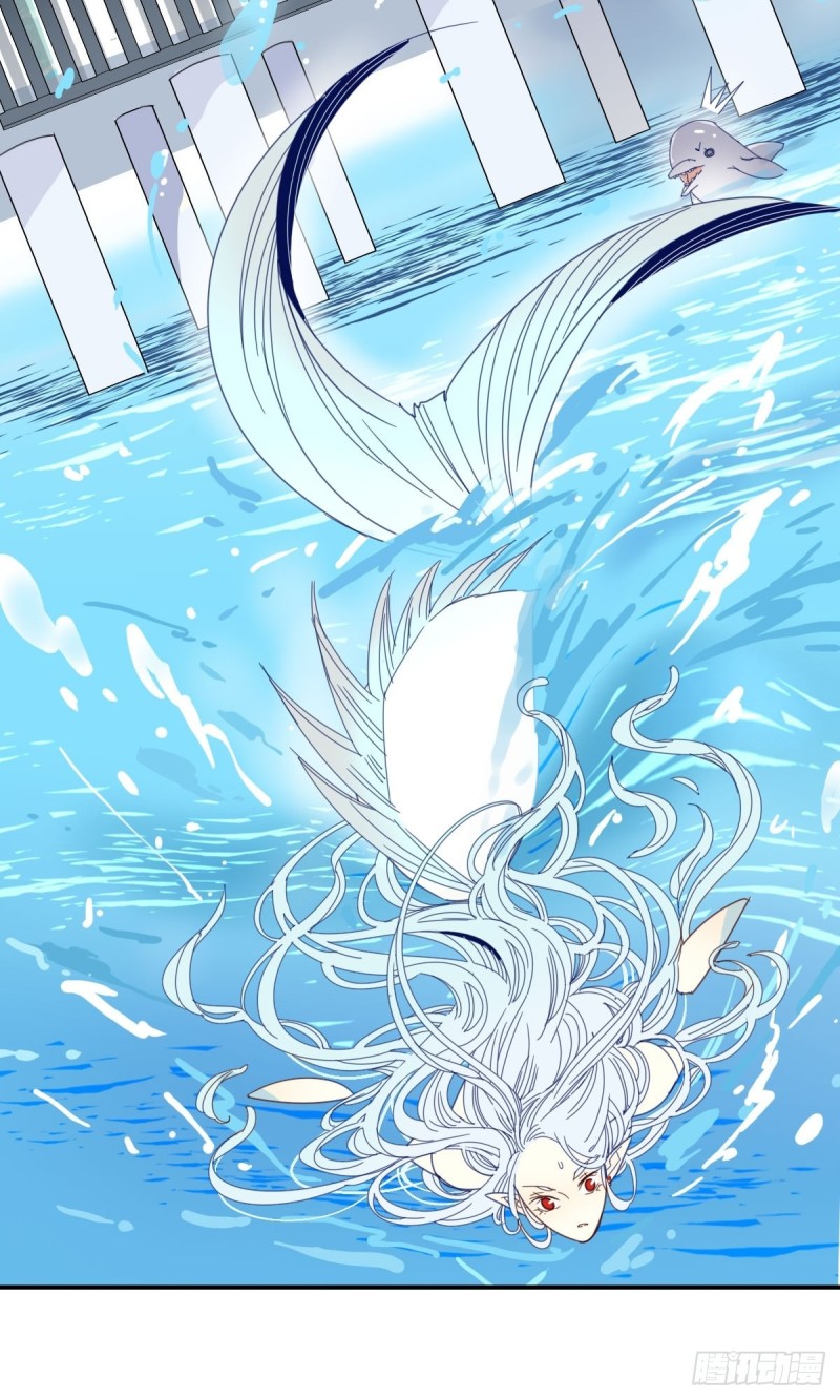 《家养美人》三十二话 第5页