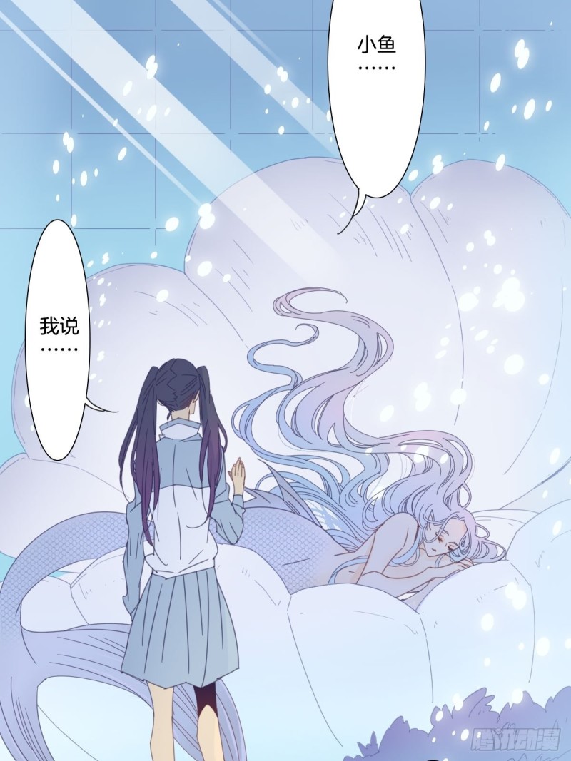 《家养美人》三十五话 第11页