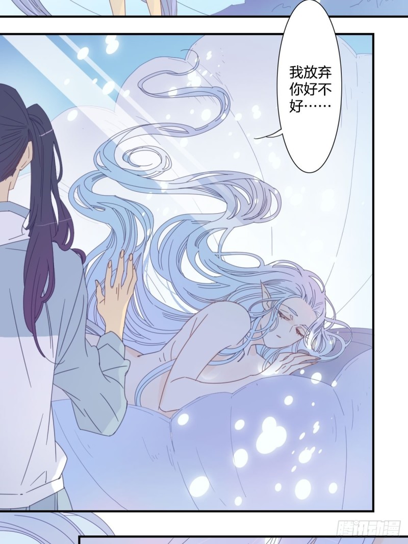 《家养美人》三十五话 第12页