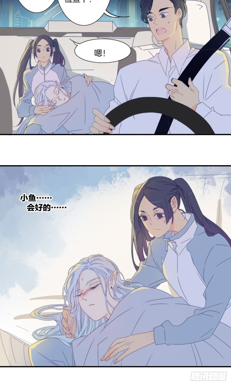 《家养美人》三十五话 第22页