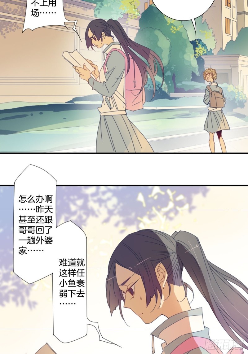 《家养美人》三十四话 第12页