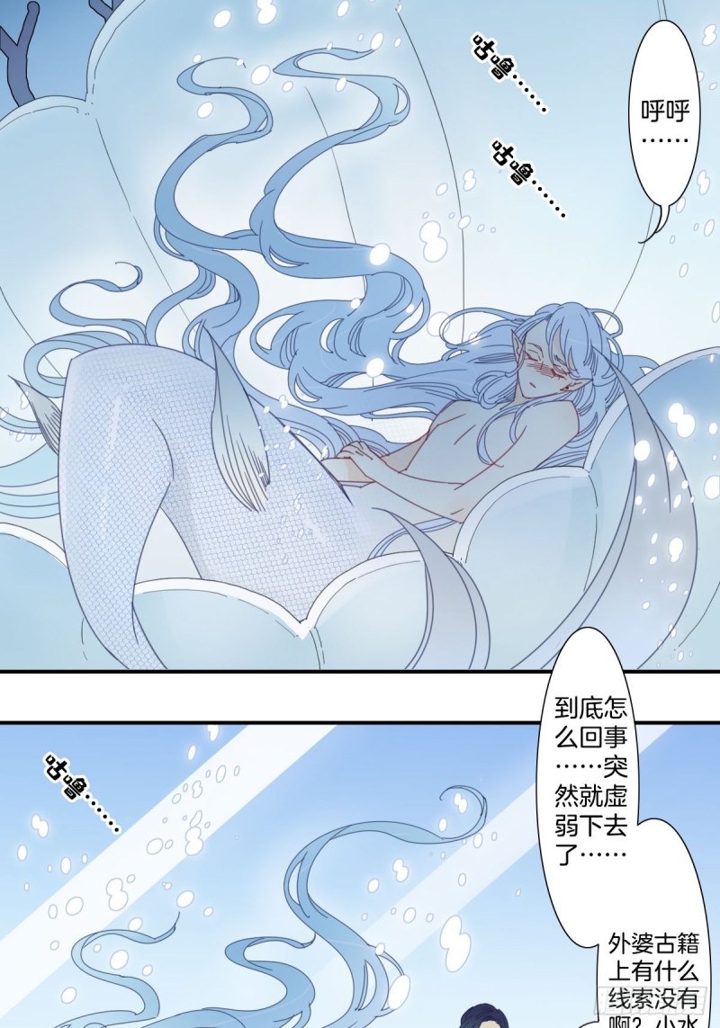 《家养美人》三十四话 第3页