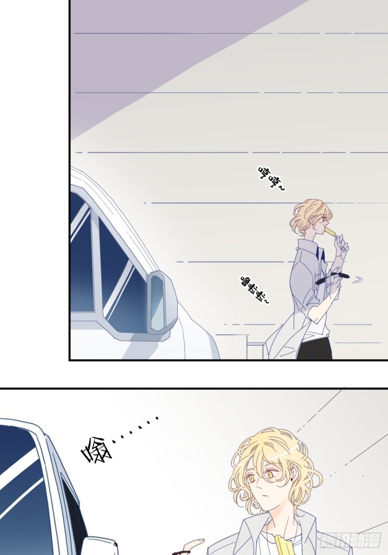 《家养美人》三十四话 第8页