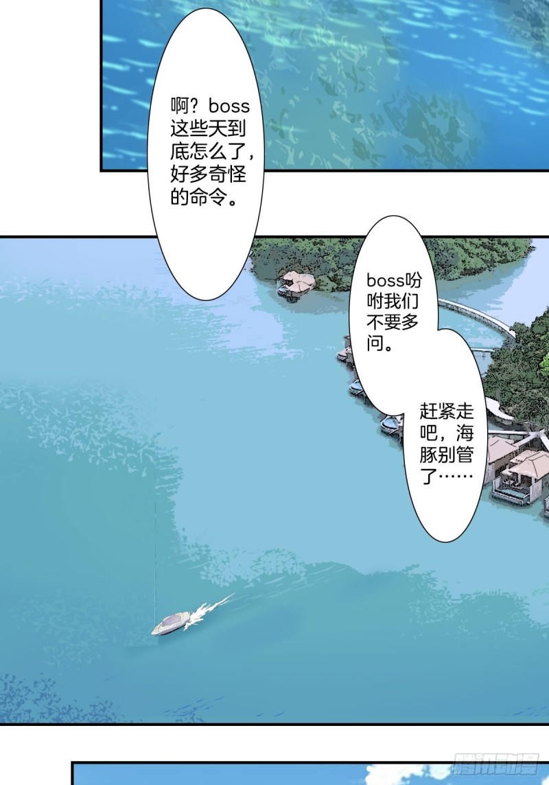 《家养美人》三十三话 第16页