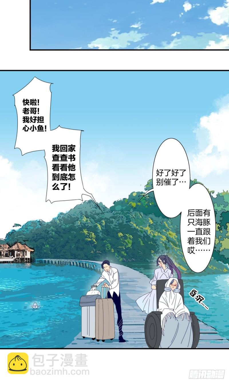 《家养美人》三十三话 第17页