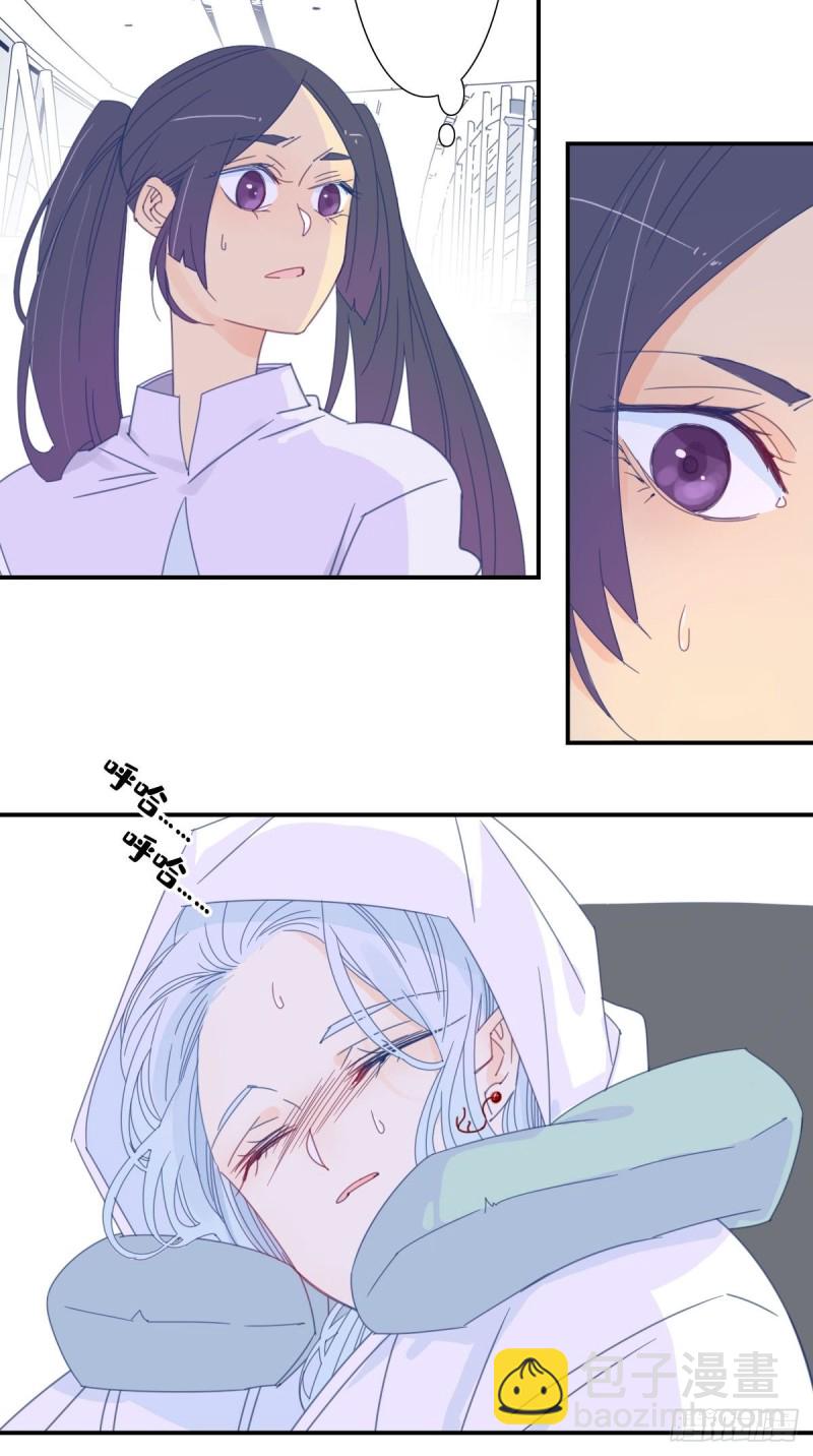 《家养美人》三十三话 第19页