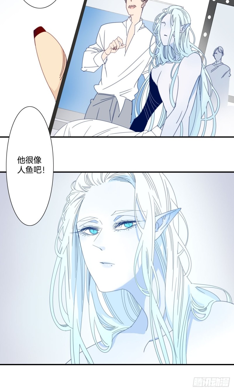 《家养美人》三十三话 第5页