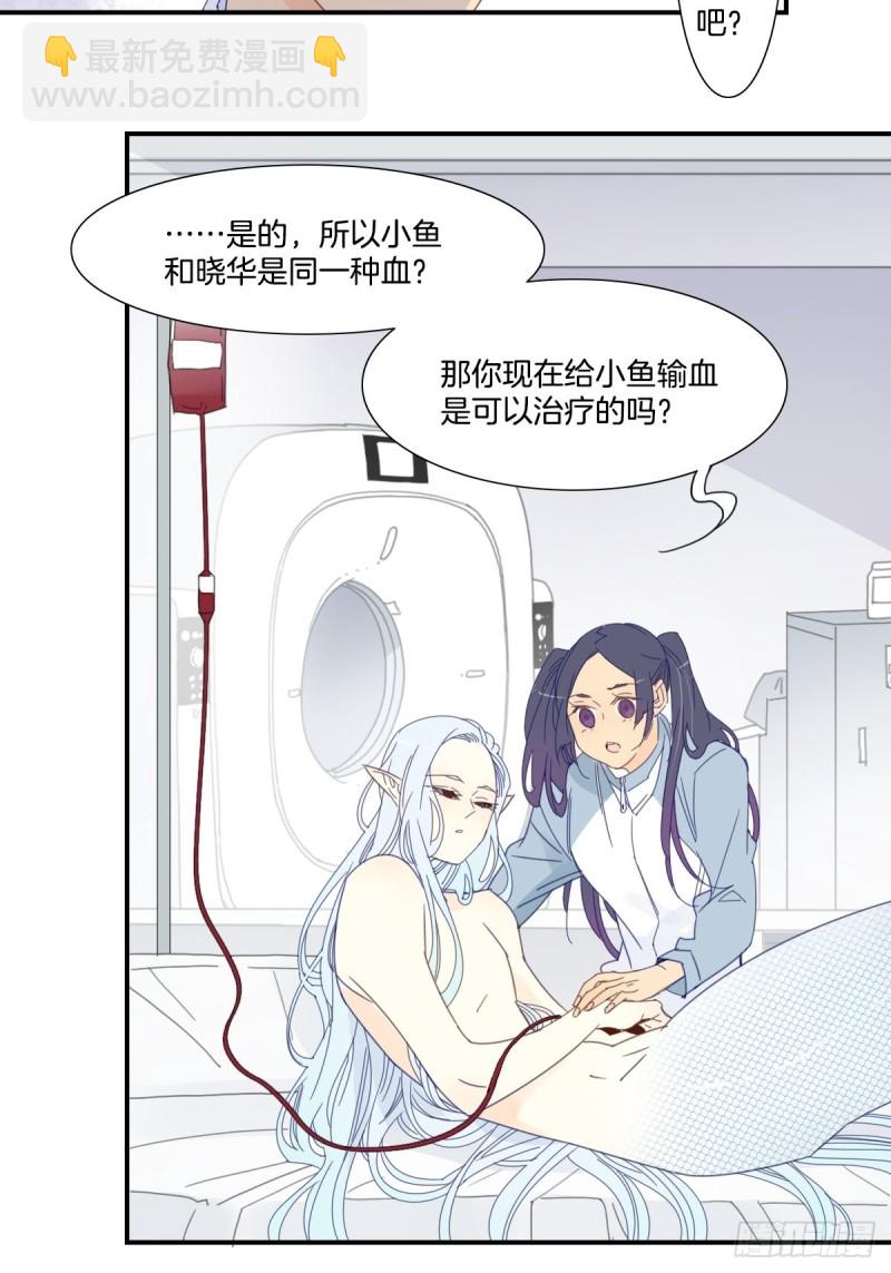 《家养美人》三十六话 第11页