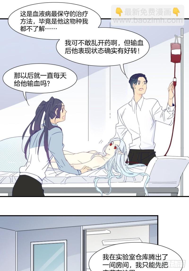 《家养美人》三十六话 第12页
