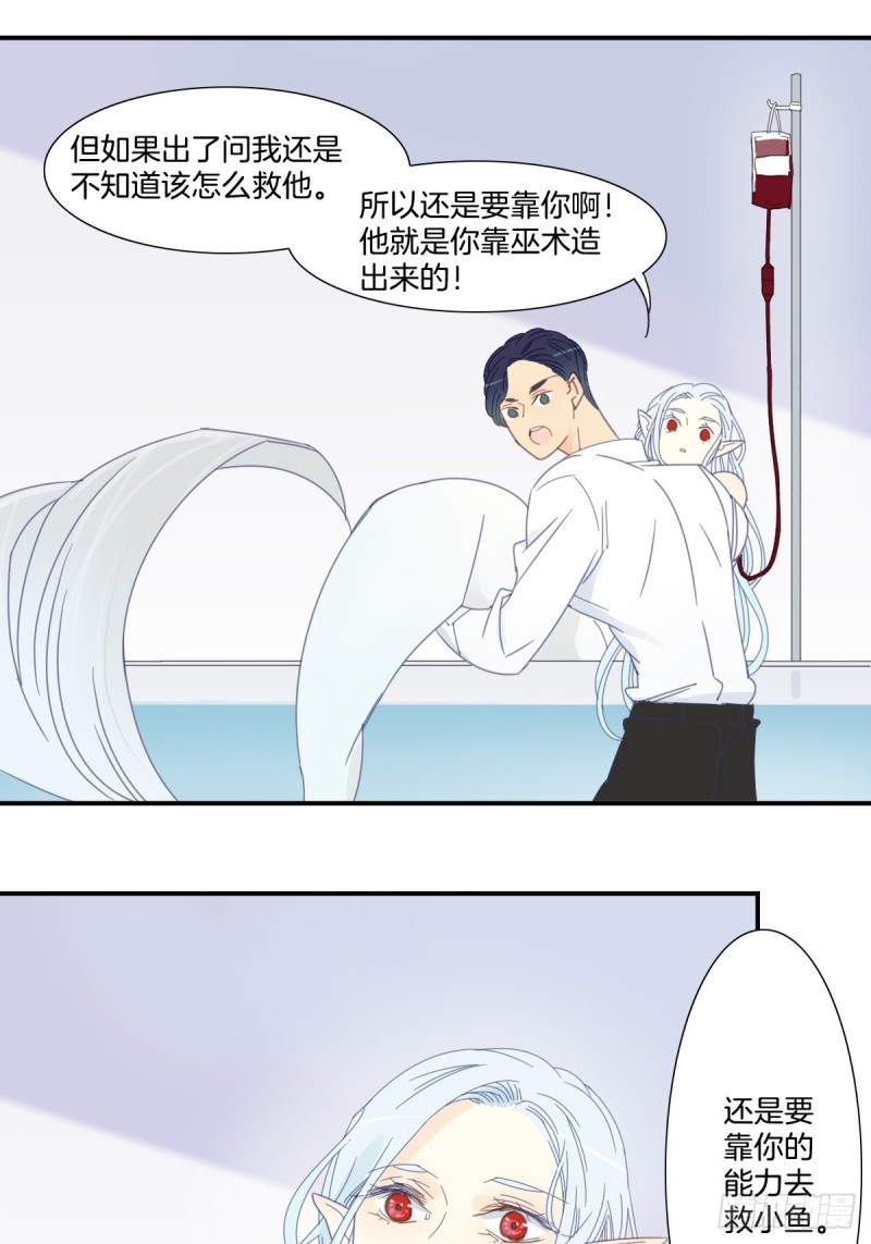 《家养美人》三十六话 第14页