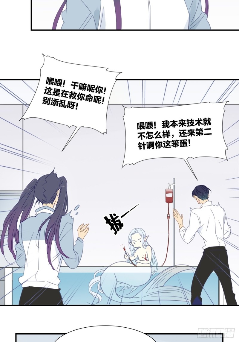 《家养美人》三十六话 第16页