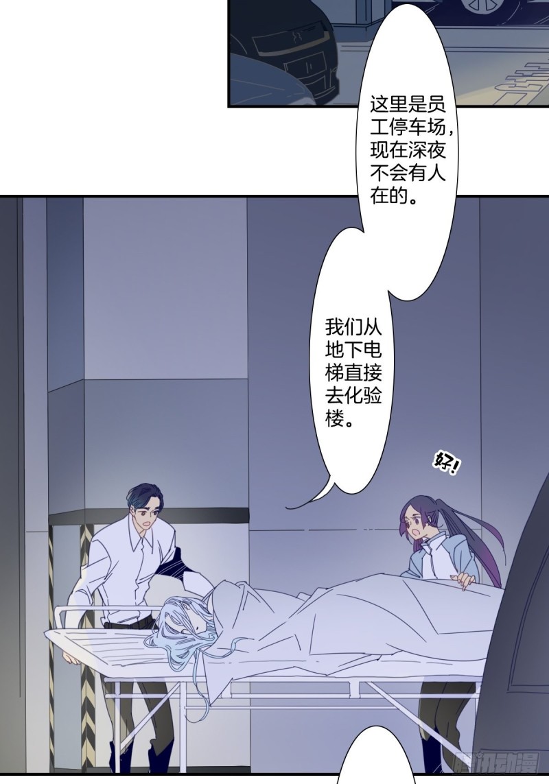 《家养美人》三十六话 第3页