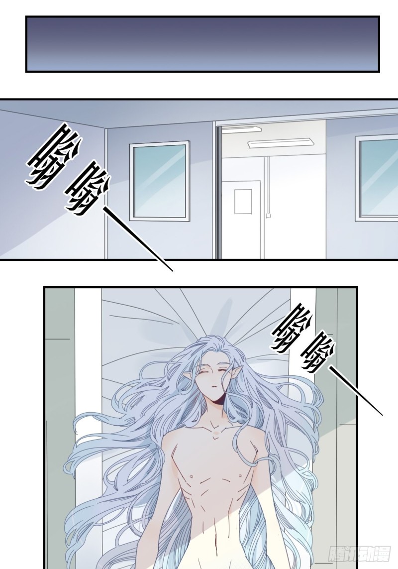 《家养美人》三十六话 第6页