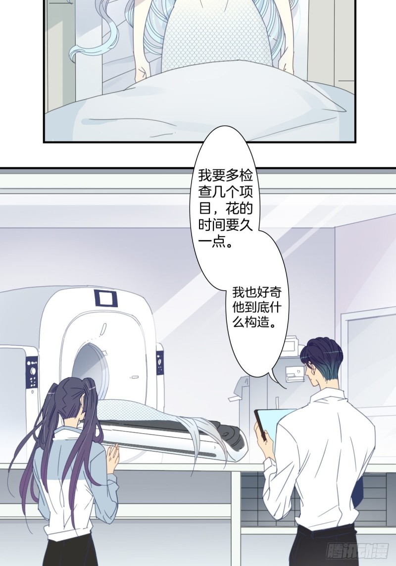 《家养美人》三十六话 第7页