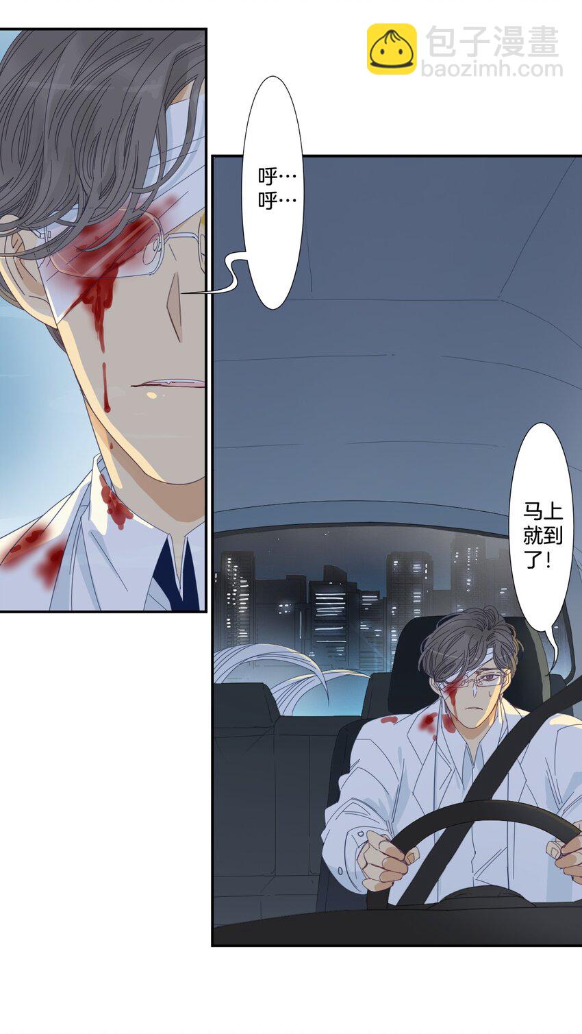 《家养美人》40 绑架 第12页