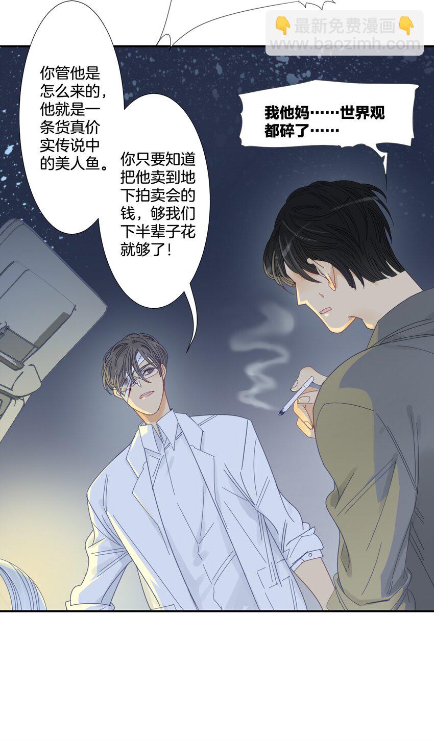 《家养美人》40 绑架 第19页