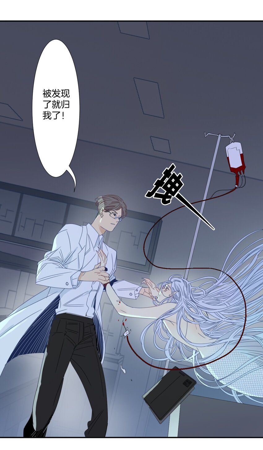 《家养美人》39 掠夺 第13页