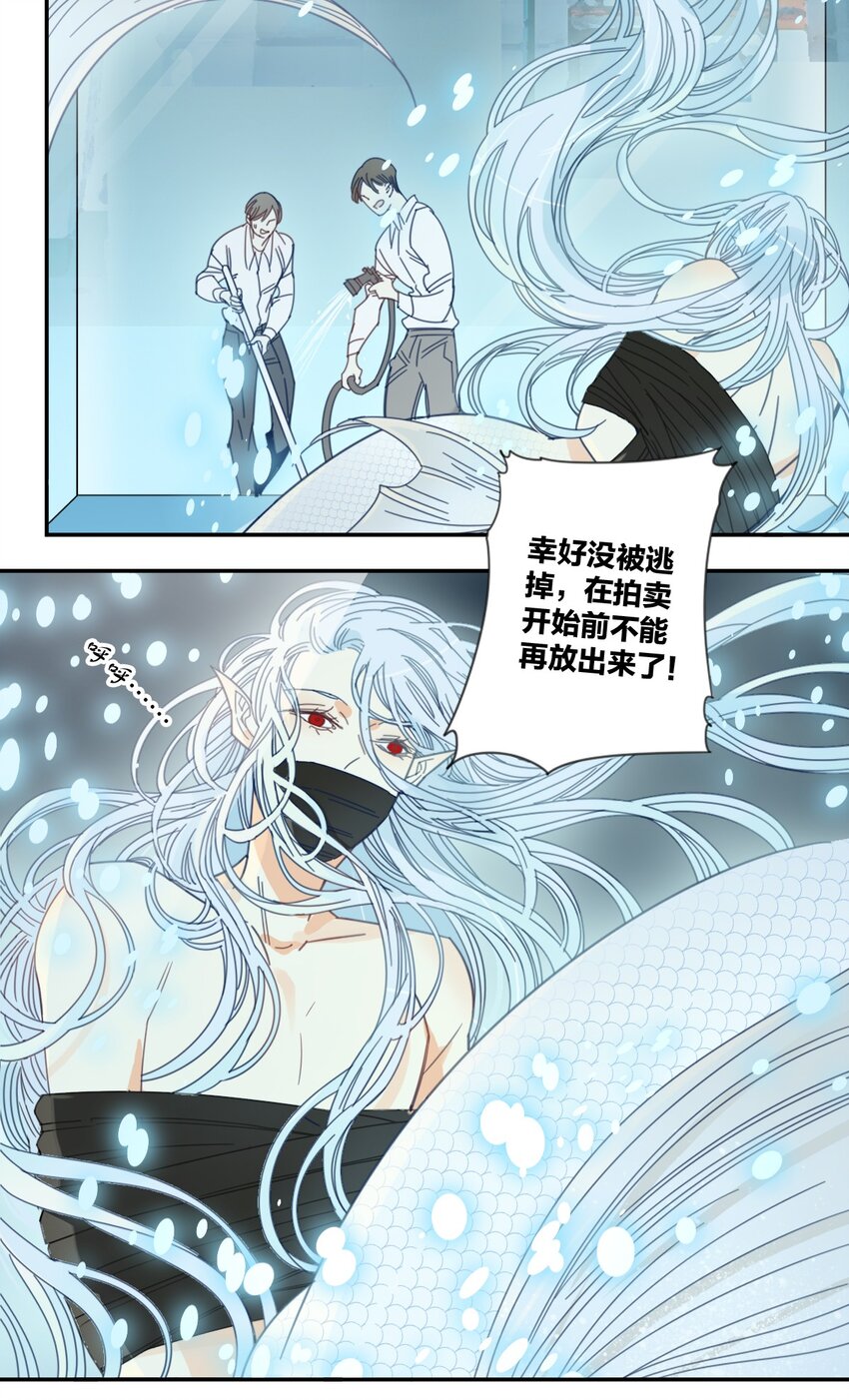 《家养美人》42 游轮 第6页