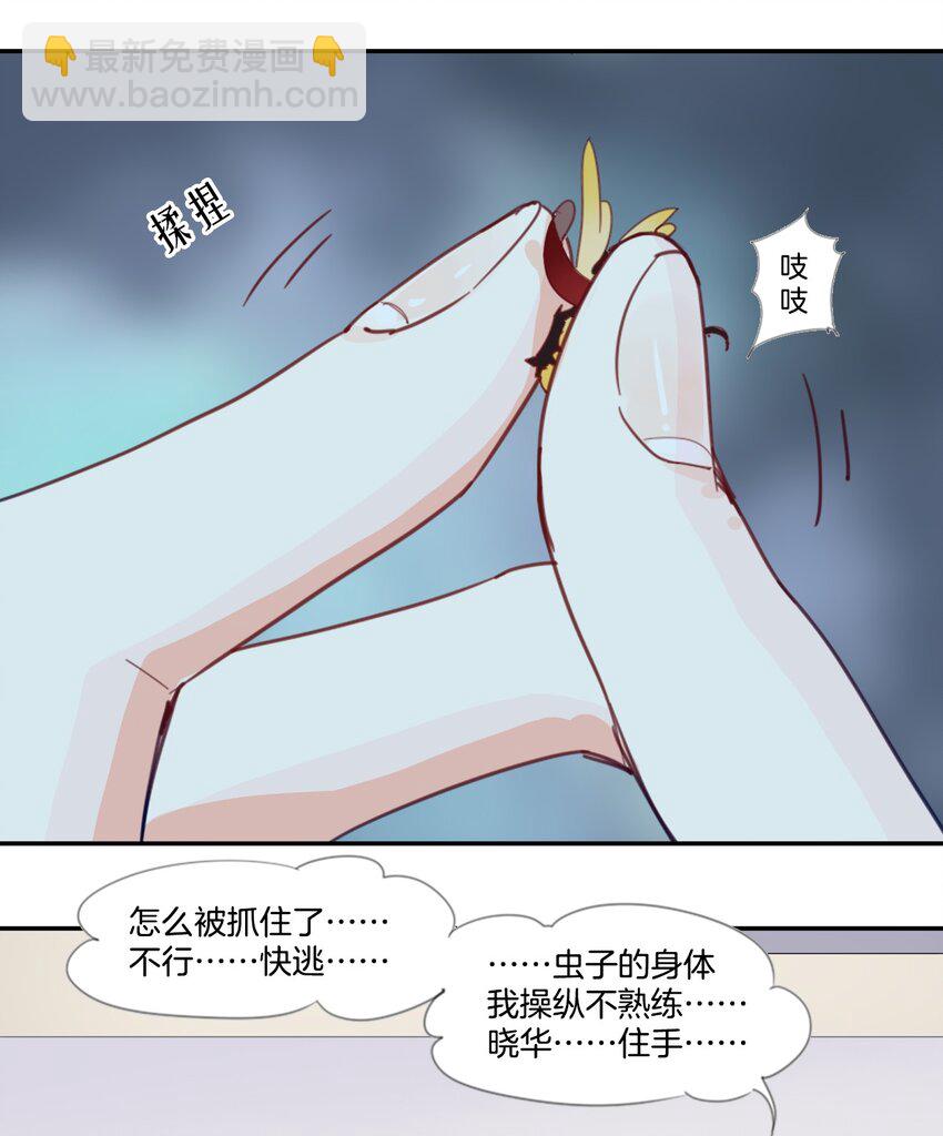 《家养美人》冷酷 冷酷 第17页