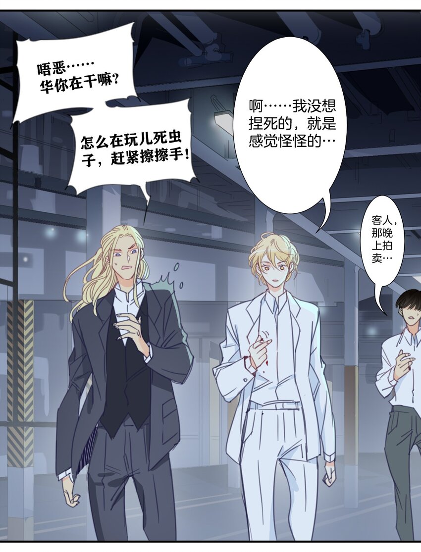 《家养美人》冷酷 冷酷 第21页