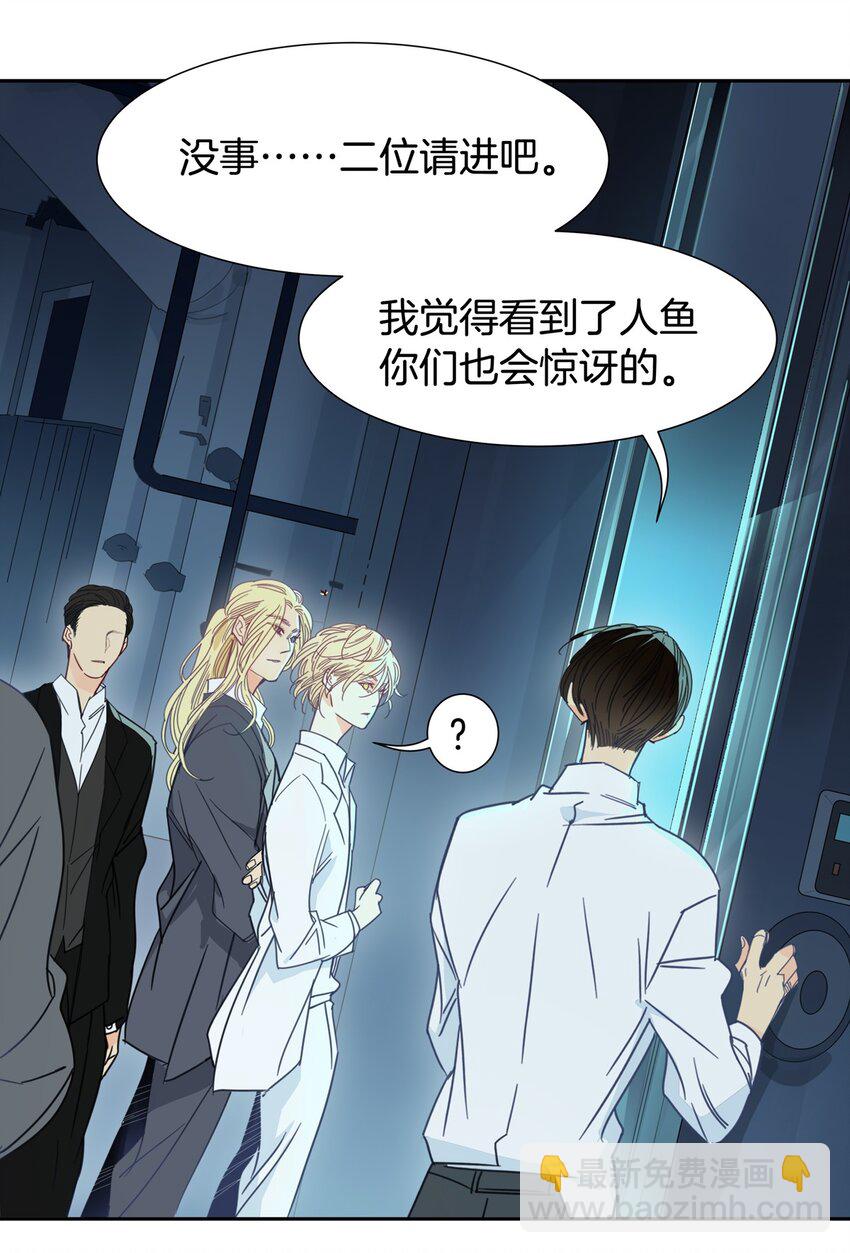 《家养美人》冷酷 冷酷 第3页