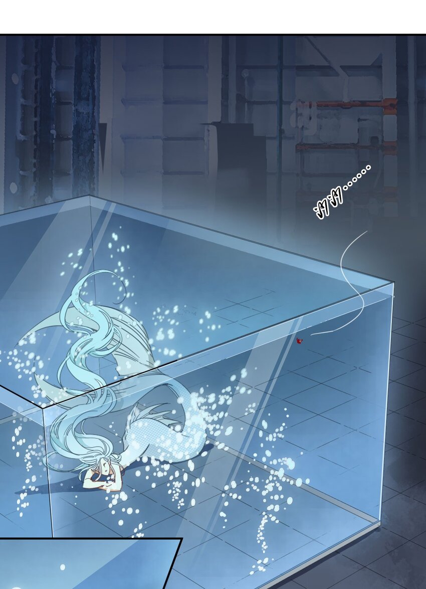 《家养美人》45 交换 第8页