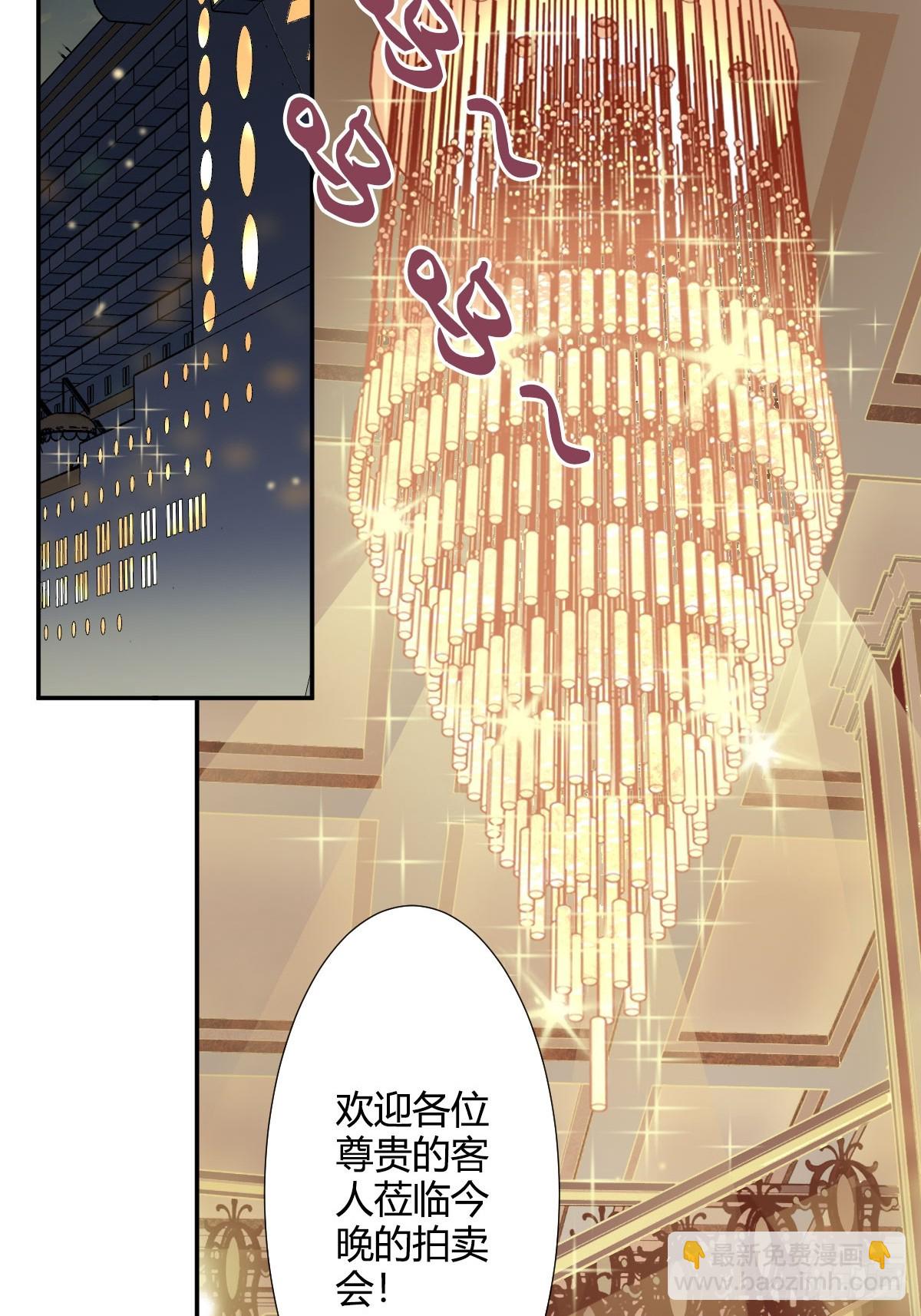 《家养美人》四十六话 第19页