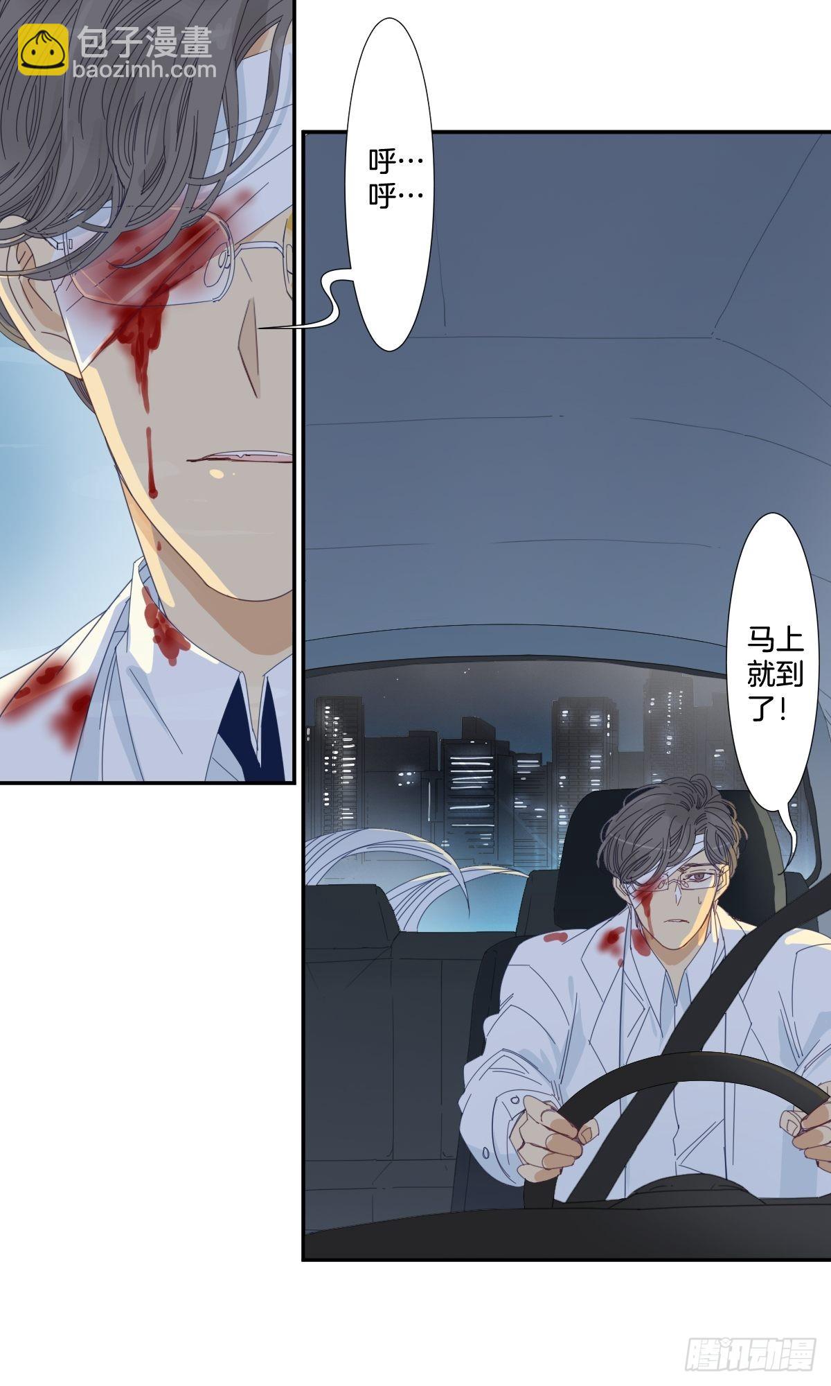 《家养美人》四十话 第13页