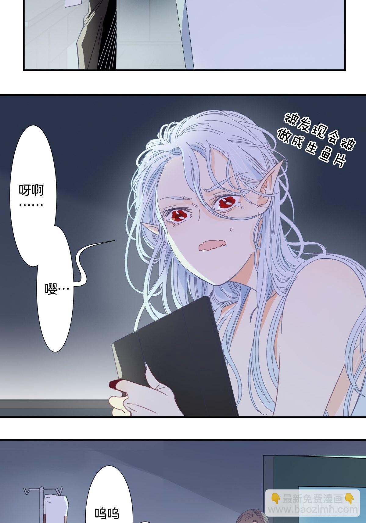 《家养美人》三十九话 第11页