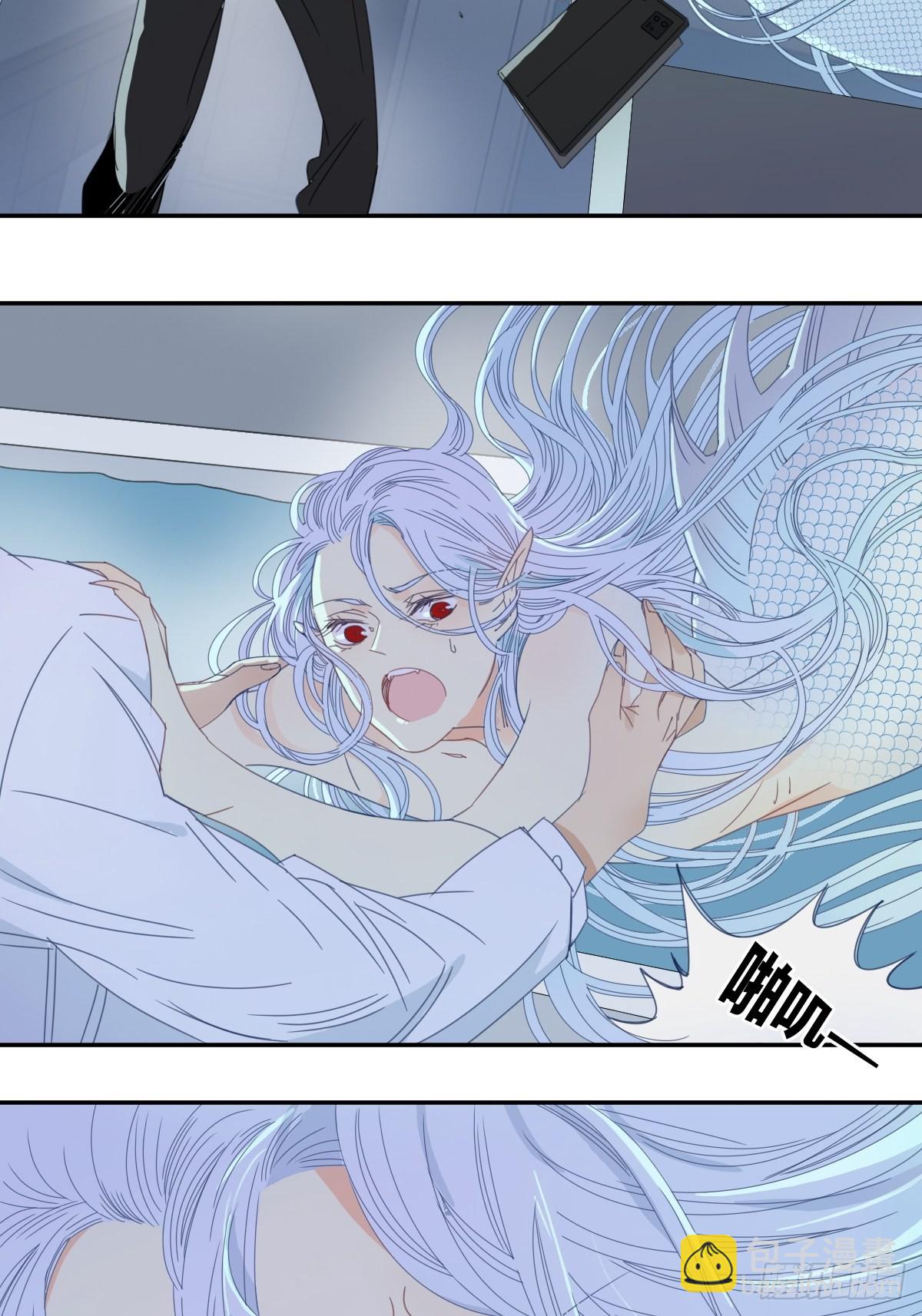《家养美人》三十九话 第15页