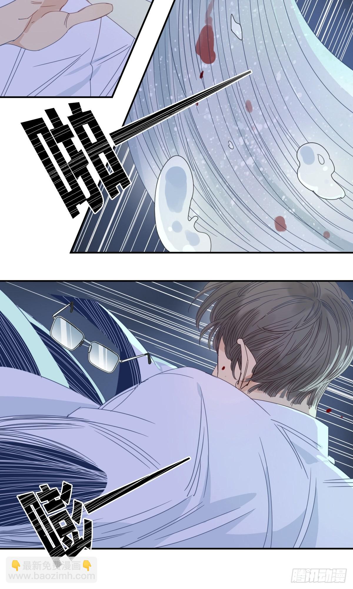 《家养美人》三十九话 第17页