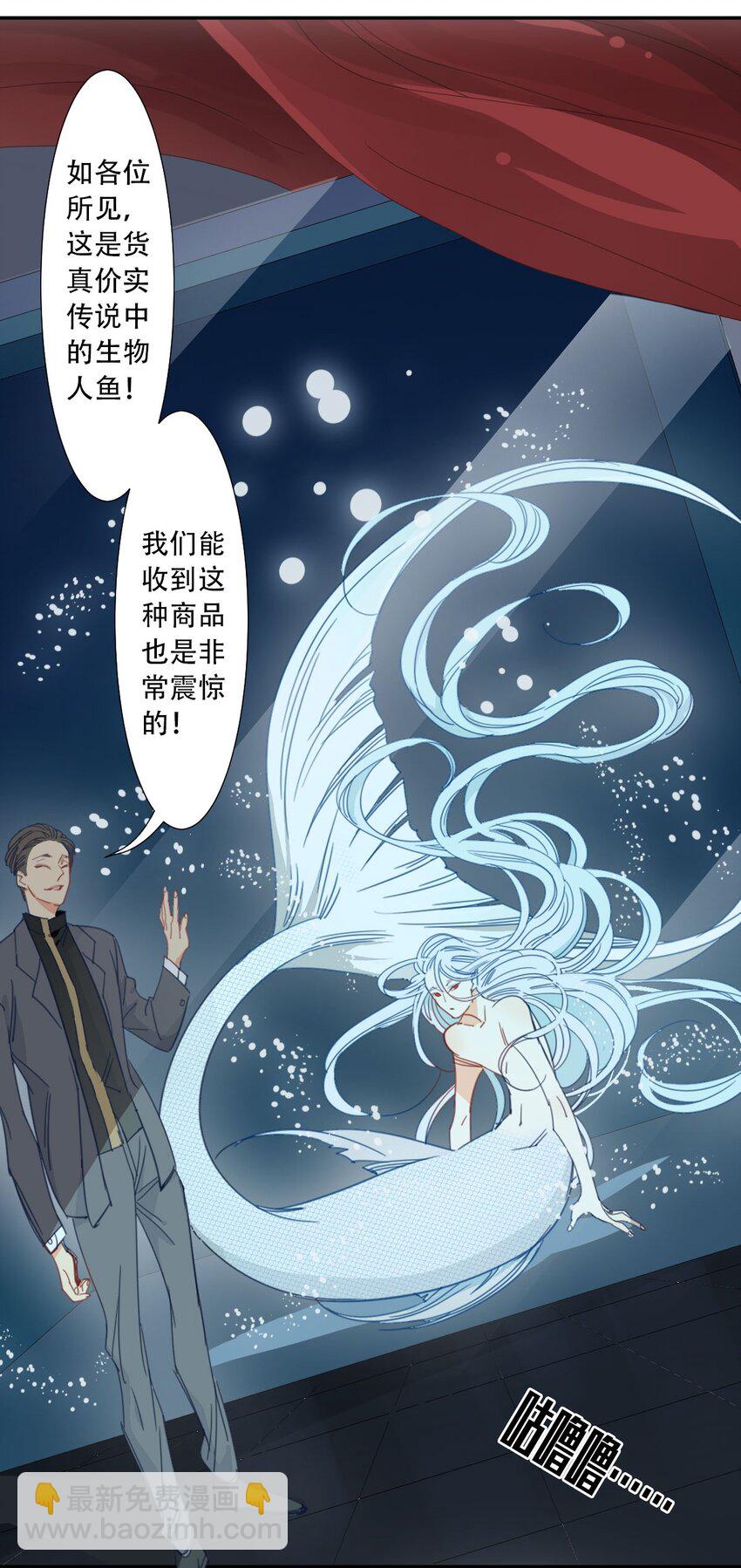 《家养美人》47 人鱼 第13页